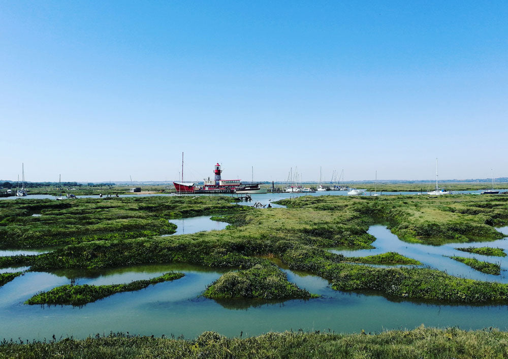 THE LIGHTSHIP ON THE MARSH BY ROBERT BEECHAM