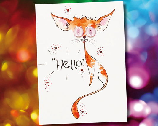 HELLO TOMMY | GENERAL GREETING CARD