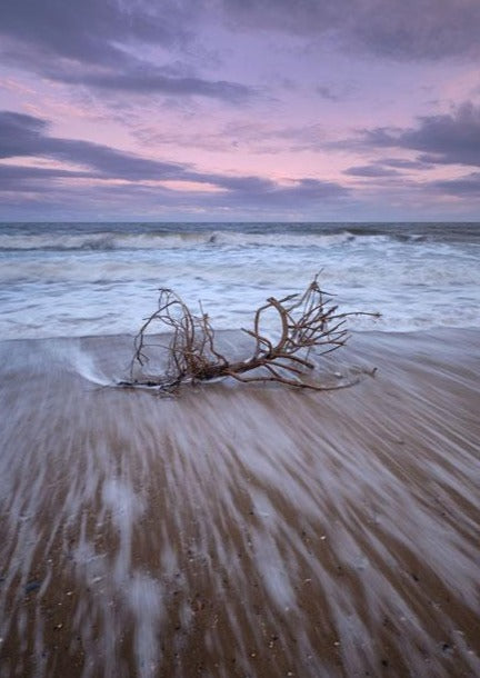 WASHED UP BY MICHAEL CLARKE