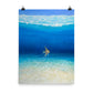 POSTER | ANGEL ESCAPES TO THE SEA BY GILL BUSTAMANTE