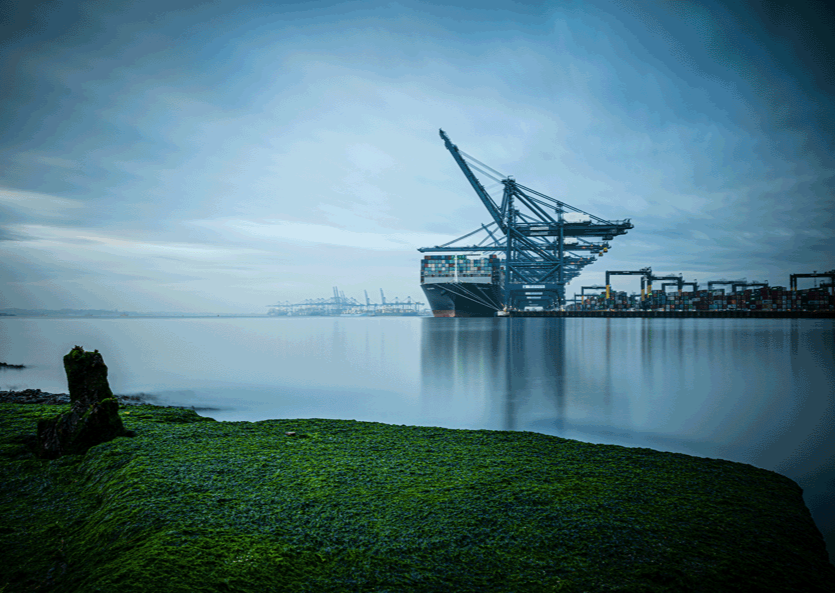 PORT OF FELIXSTOWE BY JAMES GLEESON