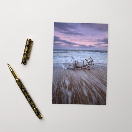 POSTCARDS | WASHED UP BY MICHAEL CLARKE (pack of 20)